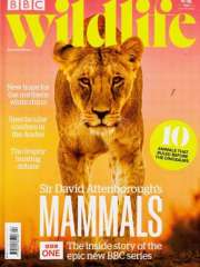 Bbc Wildlife - UK Edition International Magazine Subscription