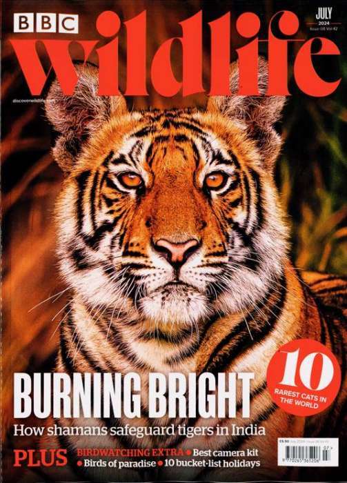Bbc Wildlife - UK Edition International Magazine Subscription