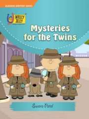 Mysteries for the Twins Magazine Subscription