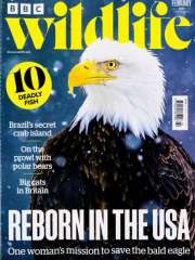 Bbc Wildlife - UK Edition International Magazine Subscription