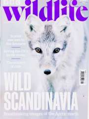 Bbc Wildlife - UK Edition International Magazine Subscription