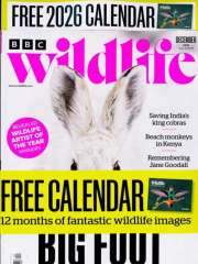Bbc Wildlife - UK Edition International Magazine Subscription