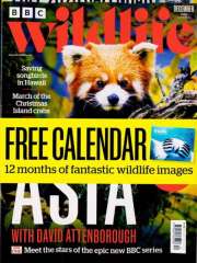 Bbc Wildlife - UK Edition International Magazine Subscription