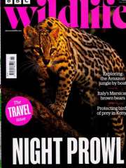 Bbc Wildlife - UK Edition International Magazine Subscription