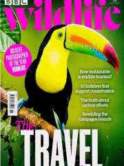 Bbc Wildlife - UK Edition International Magazine Subscription