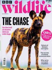Bbc Wildlife - UK Edition International Magazine Subscription