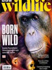 Bbc Wildlife - UK Edition International Magazine Subscription