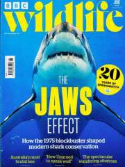 Bbc Wildlife - UK Edition International Magazine Subscription