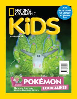 National Geographic Kids Magazine Subscription