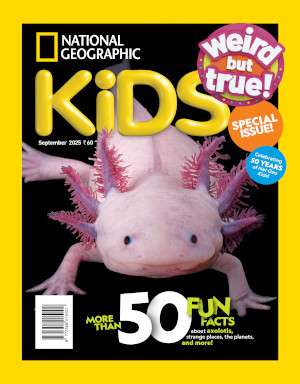 National Geographic Kids Magazine Subscription