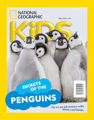 National Geographic Kids Magazine Subscription