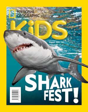 National Geographic Kids Magazine Subscription