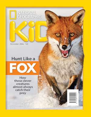 National Geographic Kids Magazine Subscription