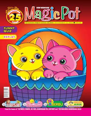Magic Pot Magazine Subscription