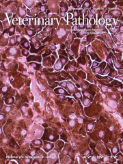 Veterinary Pathology Journal Subscription