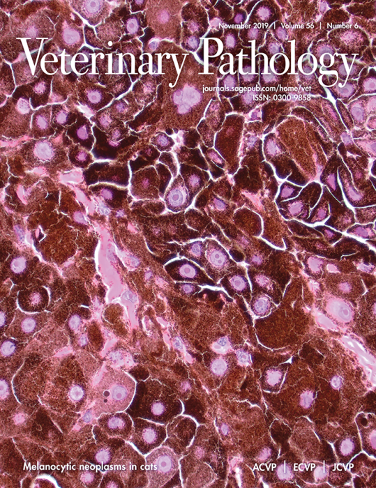 SAGE　Pathology　Veterinary　Buy　Publications　Journal　Subscription